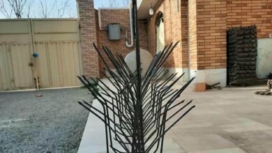 ارتفاع نرده شاخ گوزنی روی دیوار