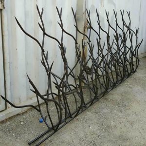 خرید محافظ شاخ گوزنی روی دیوار
