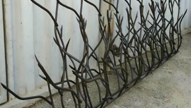 خرید محافظ شاخ گوزنی روی دیوار