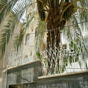 مزیت نصب حفاظ فولادی شاخ گوزنی روی دیوار قوس دار