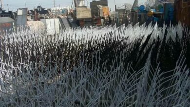 حفاظ آهنی شاخ گوزنی در دماوند چه ضرورتی دارد ؟