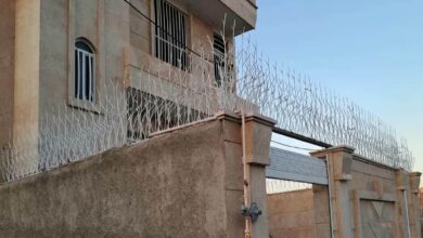 نصب حفاظ آهنی شاخ گوزنی بالای دیوار پارکینگ چه مزیتی دارد ؟