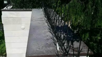حفاظ شاخ گوزنی دیوار دور محوطه ساختمان چه کاربردی دارد ؟