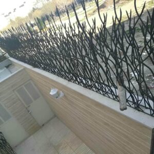 نرده های شاخ گوزنی دیواری حیاط چه کاربردی در حفظ امنیت دارند ؟