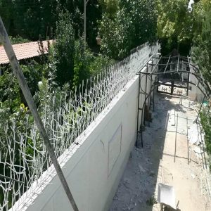 قیمت حفاظ دیواری شاخ گوزنی