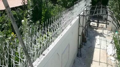 قیمت حفاظ دیواری شاخ گوزنی