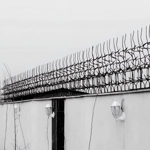 قیمت حفاظ آهنی شاخ گوزنی