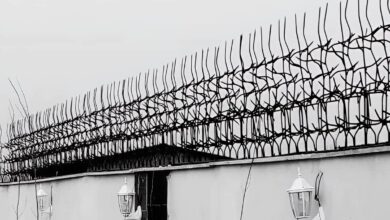 قیمت حفاظ آهنی شاخ گوزنی