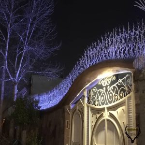 قیمت حفاظ بالای دیوار: نرده شاخ گوزنی دیواری