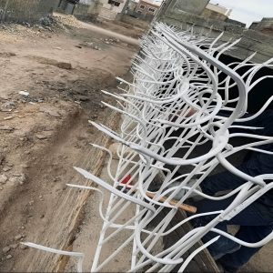 مزیت محافظ دیواری شاخ گوزنی در شهر کرج
