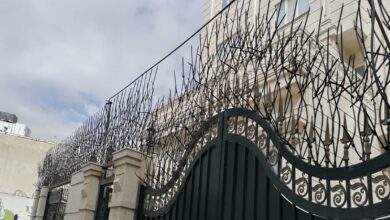 ساخت نرده دیوار: نرده شاخ گوزنی دیوار حیاط