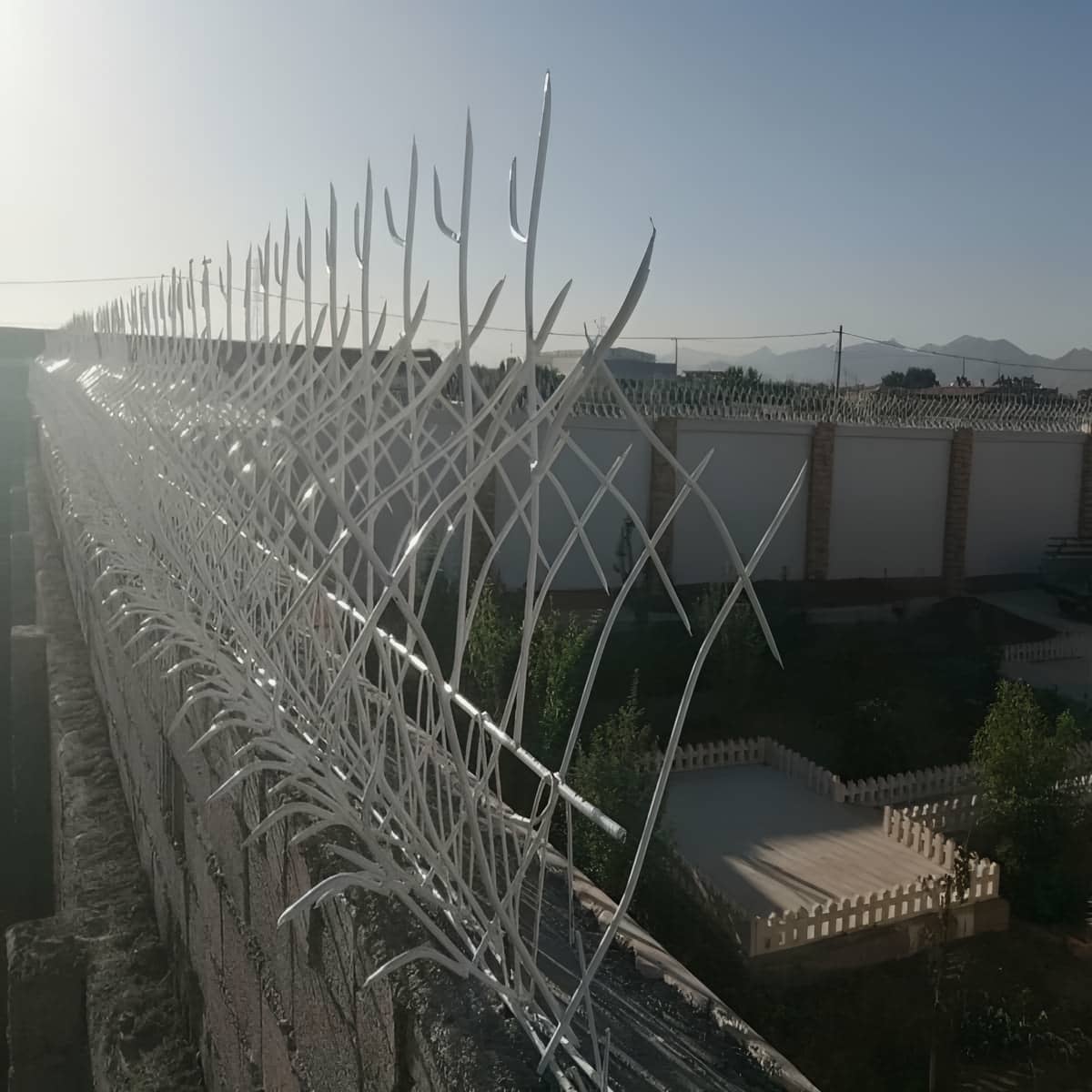 گارد آهنی شاخ گوزنی