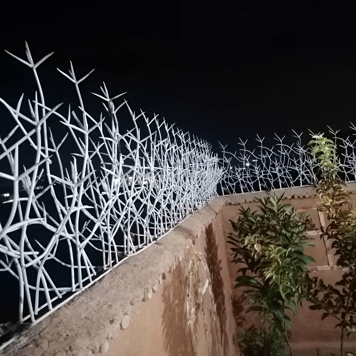 قیمت محافظ شاخ گوزنی