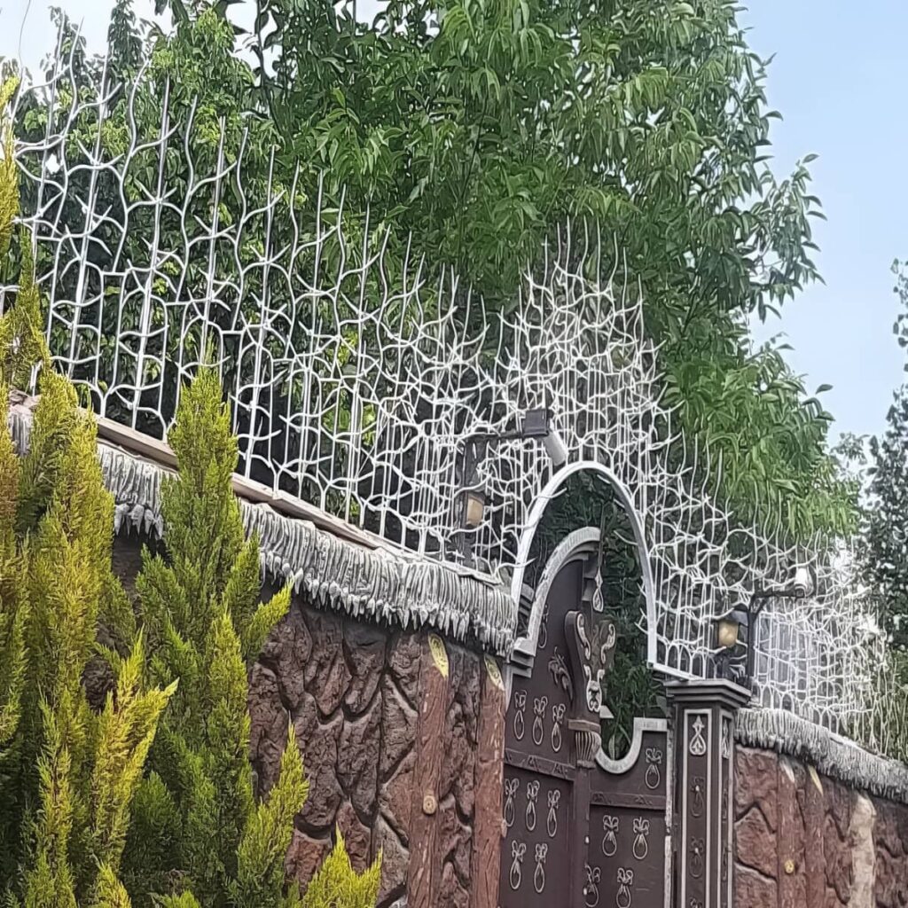 حفاظ شاخ گوزنی از نمای دور و نزدیک