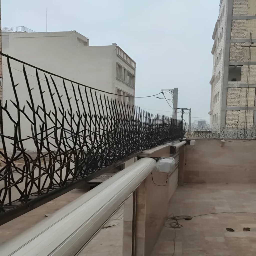 برآورد قیمت محافظ شاخ گوزنی
