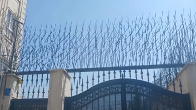 خرید حفاظ دیواری شاخ گوزنی با ارتفاع 90 و 120سانت بالای دیوار