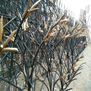 نرده حفاظ روی دیوار در مشهد