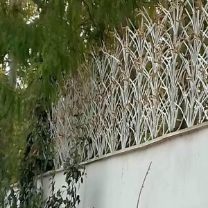 قیمت محافظ نمای دیوار: حفاظ لیلیوم دیواری