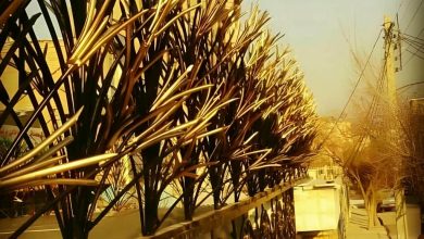 نرده بالای دیوار منزل