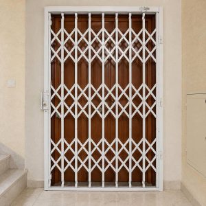 کاربرد امنیت حفاظ آکاردئونی پشت درب منزل