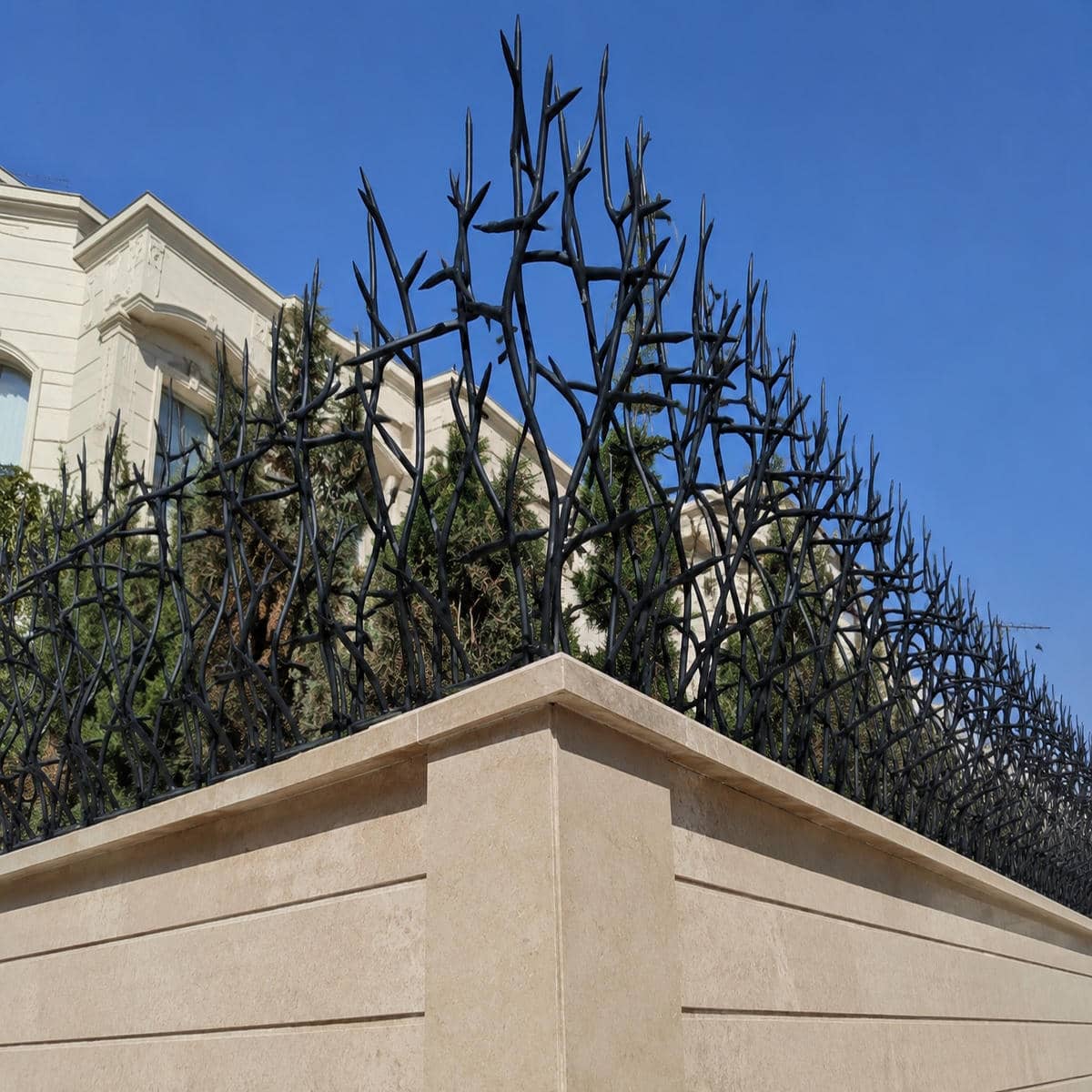 کاربرد محافظ شاخ گوزنی روی دیوار
