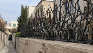 حفاظ آهنی شاخ گوزنی روی دیوار