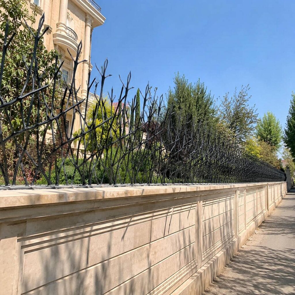 ساختار گارد های شاخ گوزنی - تصویر 2