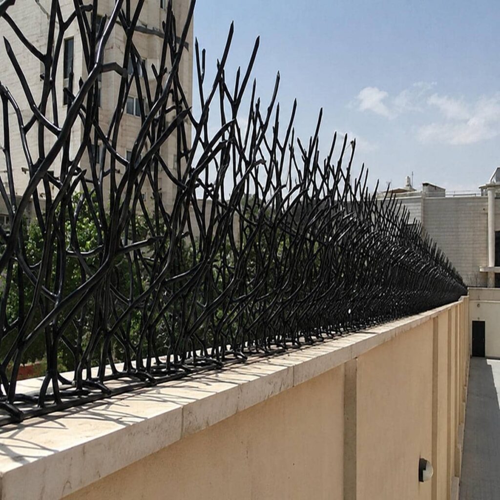 حفاظ شاخ گوزنی برای محوطه حیاط
