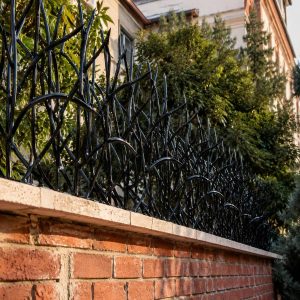 خرید بهترین حفاظ شاخ گوزنی