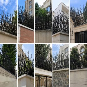 ساختار گارد های شاخ گوزنی