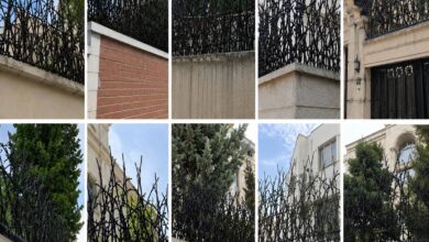 ساختار گارد های شاخ گوزنی