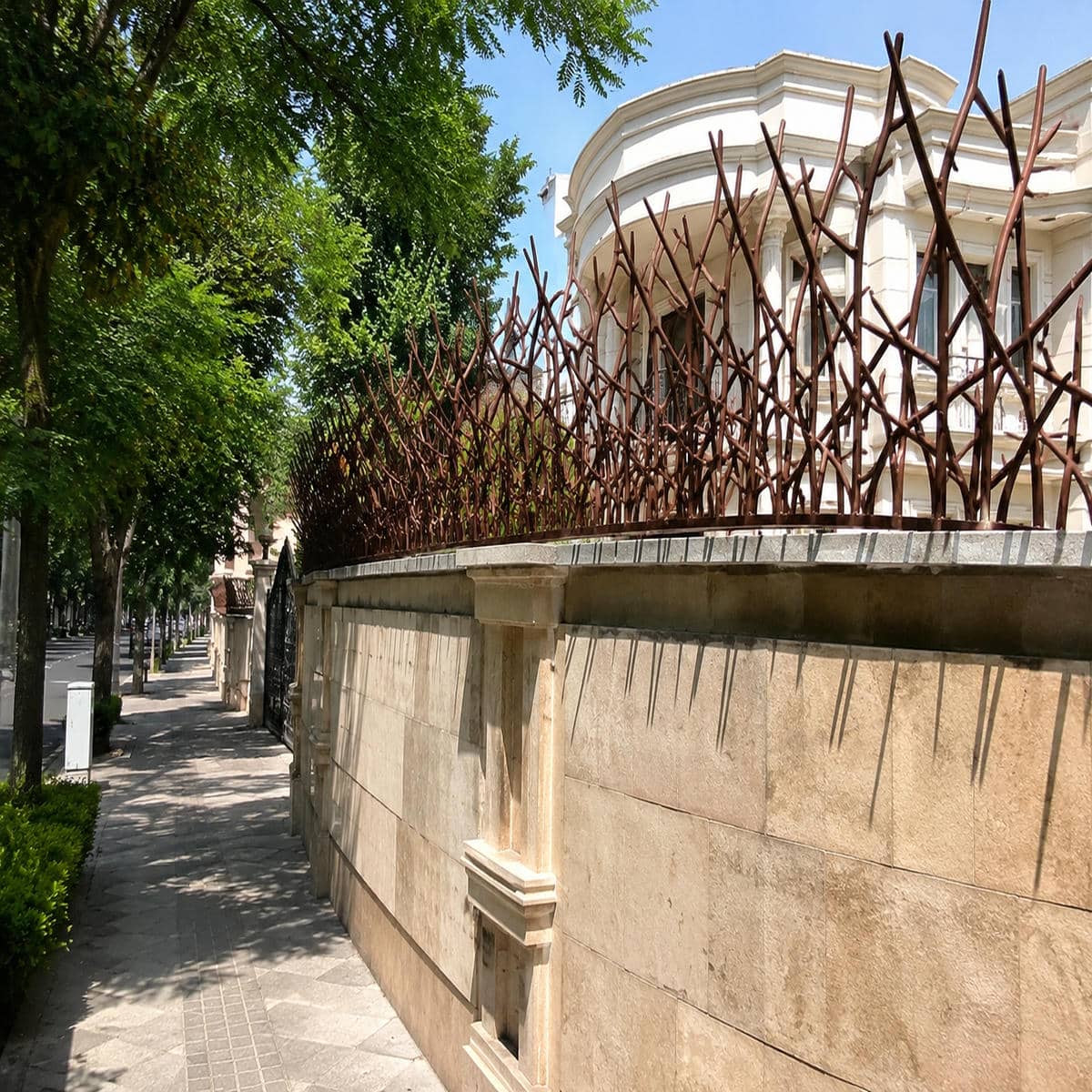 حفاظ شاخ گوزنی در لواسان