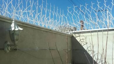 تراکم حفاظ بالای دیوار: نرده حفاظ آهنی شاخ گوزنی