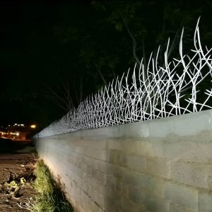 تراکم مناسب محافظ شاخ گوزنی روی دیوار