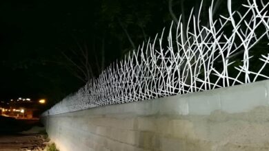 تراکم مناسب محافظ شاخ گوزنی روی دیوار