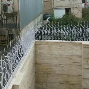 ضرورت نصب حفاظ فولادی شاخ گوزنی برای محوطه حیاط