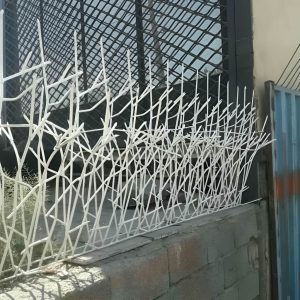 مقایسه قیمت محافظ سرنیزه ای و شاخ گوزنی
