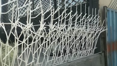 مقایسه قیمت محافظ سرنیزه ای و شاخ گوزنی