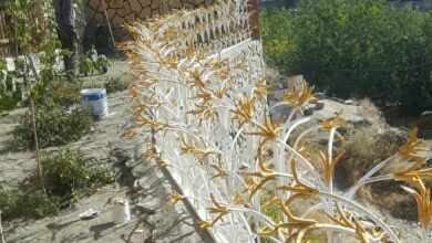 خرید حفاظ شاخگوزنی بالای دیوار در تهران