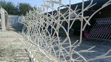 محافظ بالای دیوار سنگی