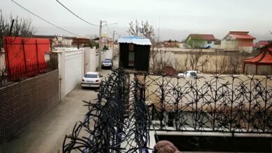 قیمت حفاظ دیوار
