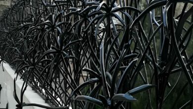 حفاظ نخل مرداب روی دیوار