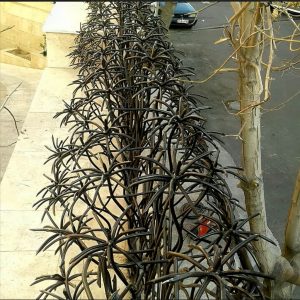 حفاظ مدرن روی دیوار منزل