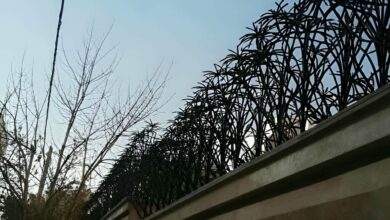 انواع نرده حفاظ روی دیوار در چهارباغ