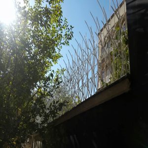 بهترین حفاظ نمای دیوار حیاط