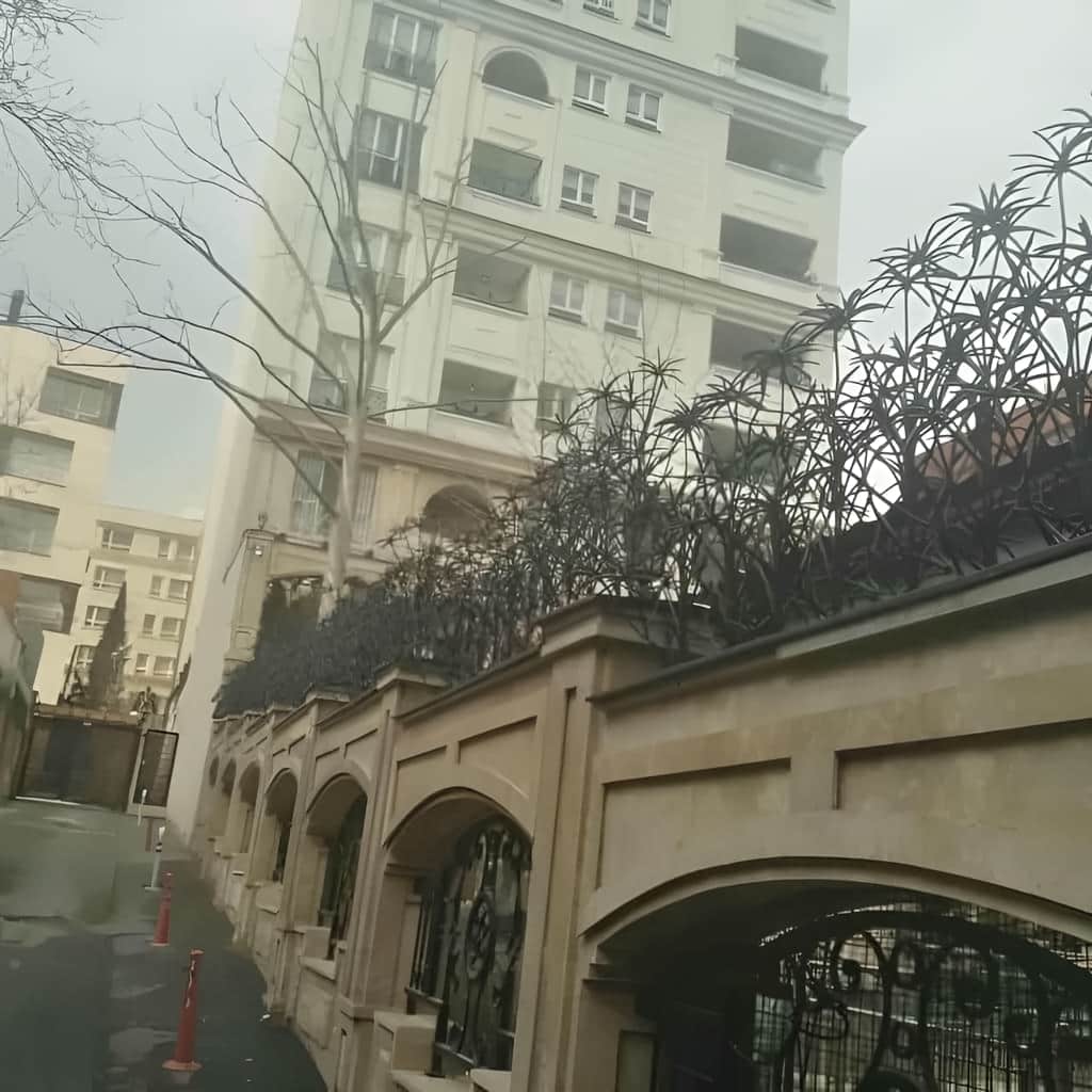حفاظ نخل مرداب مناسب حفظ حریم