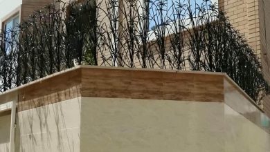 حفاظ نخل مرداب فلزی با طراحی شاخه ای برای دیوار ساختمان