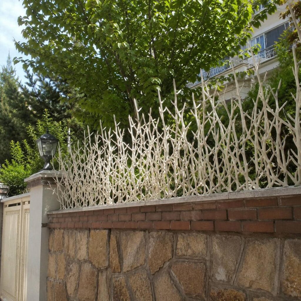 حفاظ دیوار شاخ گوزنی استان سیستان و بلوچستان